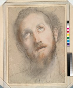 Estudio para la Cabeza de Cristo de Federico Fiori Barocci or Baroccio