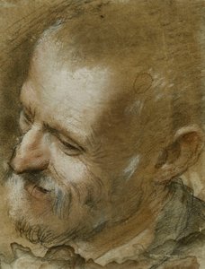 Estudio de la cabeza de un hombre barbudo girado a la izquierda, 1590 de Federico Fiori Barocci or Baroccio