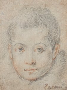 cabeza de un niño