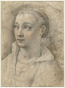 Retrato de mujer desconocida