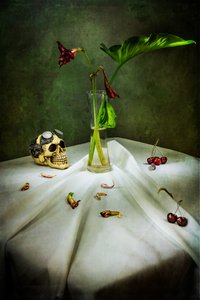 Calavera gótica Vanitas