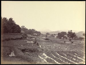 Fujiyama desde la Nueva Carretera de Felice Beato
