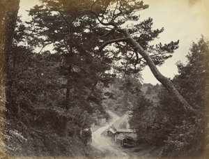Vista de la carretera de Tokaido de Felice Beato