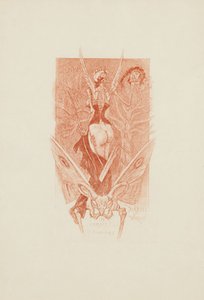 Diaboli Virtus in Lombis