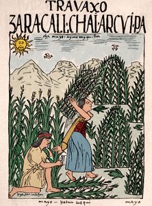 Imperio Inca: campesinos incas trabajando en los campos en mayo - Dibujo a tinta del manuscrito 