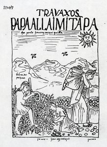El mes de junio, cosecha de las patatas de Felipe Huaman Poma de Ayala