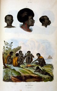 Ilustración antropológica de la raza etíope de Felix-Edouard Guerin