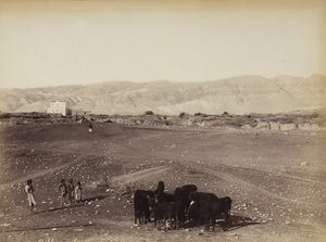 Una zona rocosa con niños y animales pastando, en Egipto de Félix Bonfils