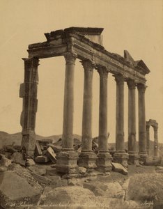 Columnata y restos del templo en Palmira, Siria de Félix Bonfils