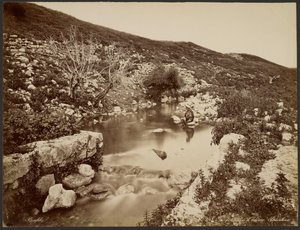 La fuente de Eliseo, Palestina de Félix Bonfils