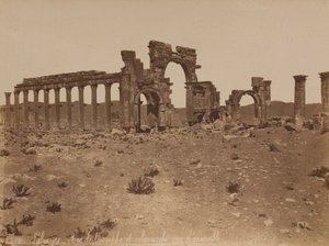 Palmira: vista general del Arco de Triunfo y la columnata de Félix Bonfils