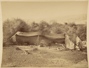 Tienda de beduinos nómadas, Palestina de Félix Bonfils