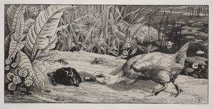 Un desconocido de Felix Bracquemond