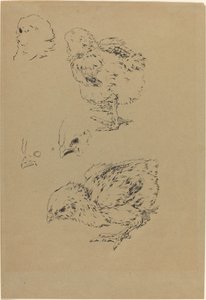 Pollitos de Felix Bracquemond