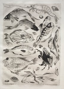 Servicio de Cena (servicio Rousseau): Peces (n.º 24)