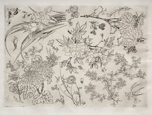 Servicio de Cena (servicio Rousseau): Flores (n.º 23) de Felix Bracquemond