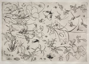 Servicio de Cena (servicio Rousseau): Flores e Insectos (n.º 15) de Felix Bracquemond