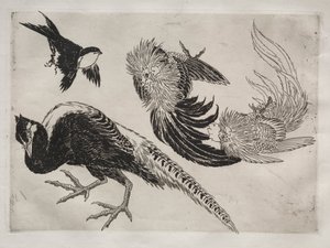 Servicio de Cena (servicio Rousseau): Faisanes y pájaro (n.º 18) de Felix Bracquemond