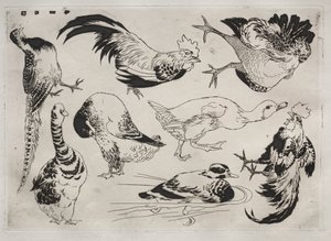 Servicio de Cena (servicio Rousseau): Gallos, patos, etc. (n.º 13) de Felix Bracquemond