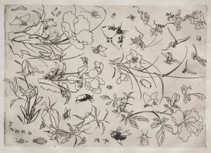 Servicio de Cena servicio Rousseau: Flores e Insectos no. 15, 1866 de Felix Bracquemond