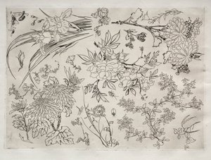 Servicio de cena Rousseau: Flores no. 23, 1866 de Felix Bracquemond