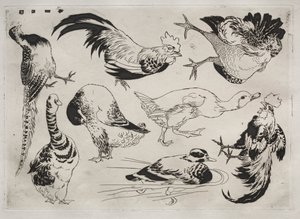 Servicio de cena Rousseau: Gallos, patos, etc. no. 13, 1866 de Felix Bracquemond