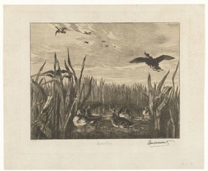 Paisaje con cercetas en el agua entre juncos
Sarcelles (título en el objeto)