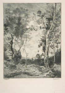 Le cheval blanc, 1858 de Felix Bracquemond