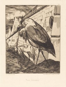 Las Cigüeñas de Felix Bracquemond