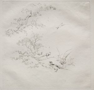 Servicio parisino (servicio Haviland) de Felix Bracquemond