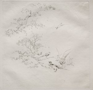 Servicio parisino (servicio Haviland): Niebla (no. 1) de Felix Bracquemond