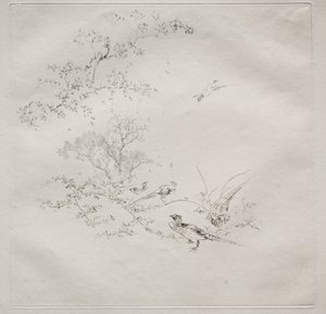 Servicio parisino Haviland: Niebla no. 1, 1875 de Felix Bracquemond