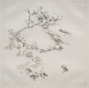 Servicio parisino Haviland: Noche no. 7, 1875 de Felix Bracquemond