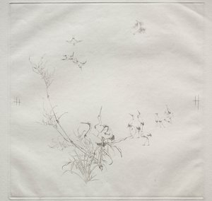 Servicio parisino Haviland: La Luna n.º 5, 1875 de Felix Bracquemond