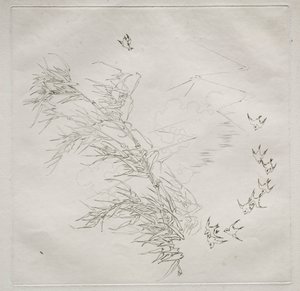 Servicio parisino Haviland: La tormenta no. 8, 1875 de Felix Bracquemond