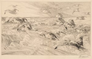 Gaviotas de Felix Bracquemond