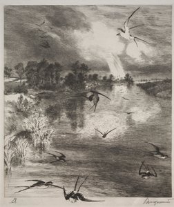 Golondrinas, 1882 de Felix Bracquemond