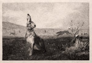 La liebre (después de A. de Balleroy)