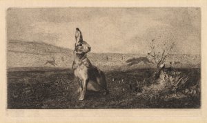 La liebre, 1865