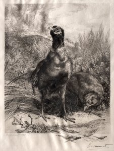 Los faisanes, 1899 de Felix Bracquemond