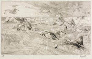 The Seagulls de Felix Bracquemond