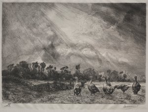 La nube de tormenta de Felix Bracquemond