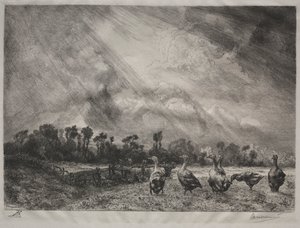 La nube de tormenta, 1878-1887 de Felix Bracquemond