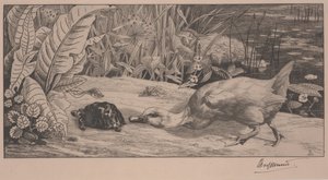 El desconocido de Felix Bracquemond