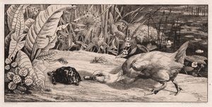 El desconocido, 1862