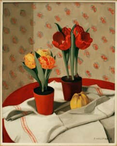 Dos macetas de tulipanes rojos y amarillos