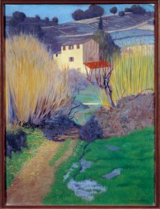 Paisaje en Cagnes de Felix Edouard Vallotton