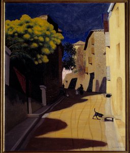 Mimosas en flor en Cagnes en 1921