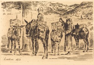 Hojas de Anes del Midi de Felix Hilaire Buhot