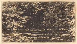 Bosque de Felix Hilaire Buhot